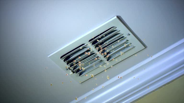 Best Best Air Duct Cleaning Company  in Georgetown, TX