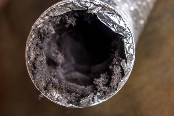 Best HVAC Maintenance and Cleaning  in Georgetown, TX